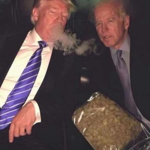 Meet your Posher, Andy luis